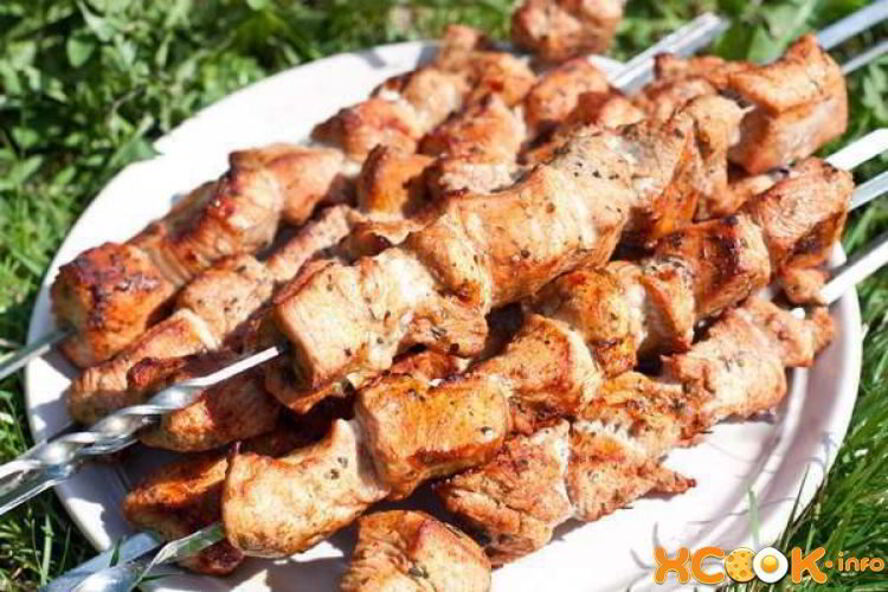Рецепт шашлыка из индюшатины