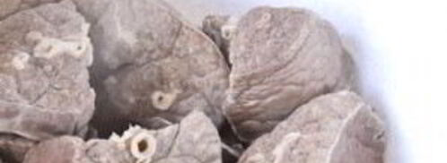 вареники с ливером. Шаг 2