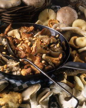 Жаркое с летними опятами