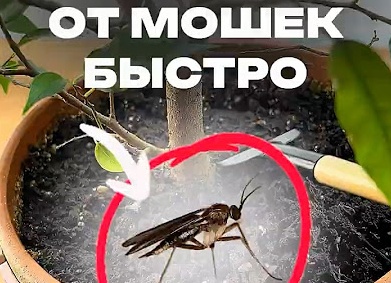 Показываю, как просто и без возни приготовить свиную рульку к ужину или на праздничный стол (плюс гарнир и вкусный соус)