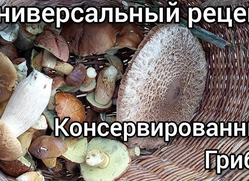 Маринованные опята - универсальный рецепт!