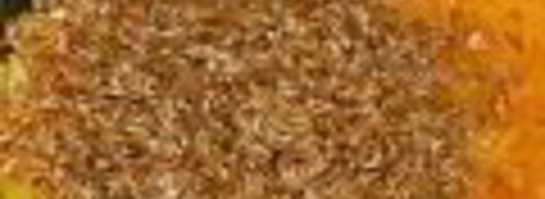 каша из полбы в мультиварке. Шаг 2