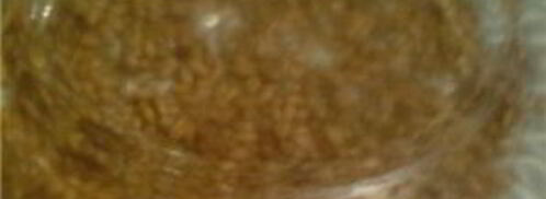 каша из проросшей пшеницы. Шаг 2