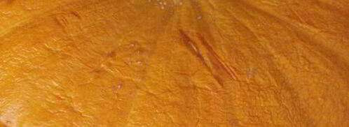 каша в тыкве. Шаг 5