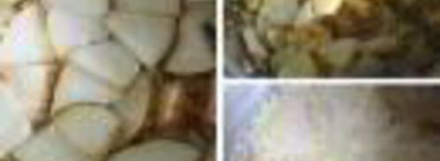 медовая каша из булгура с грушей. Шаг 2