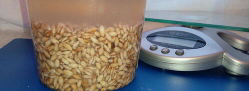 перловая каша. Шаг 3