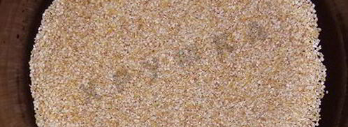 ячневая каша в мультиварке на молоке классическая. Шаг 2