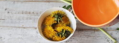 чай из одуванчиков. Шаг 5