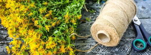 чай из зверобоя. Шаг 5