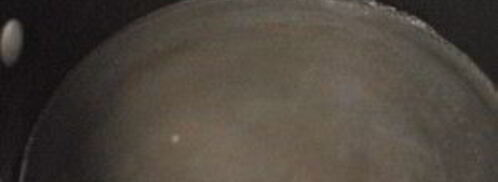 имбирно-мятный чай. Шаг 2