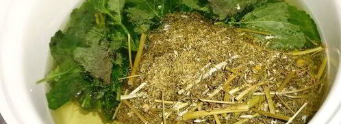 холодный зеленый чай с ромашкой и мелиссой. Шаг 3