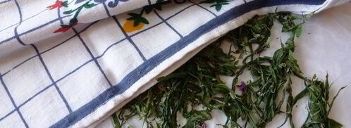 копорский чай с травами. Шаг 6