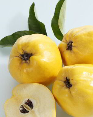 Домашнее вино из айвы