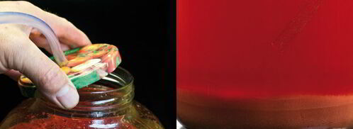 домашнее вино из клубники. Шаг 6