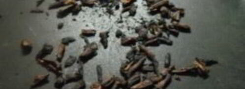 кофе из корней одуванчика. Шаг 3