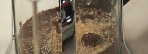 кофе масала. Шаг 2