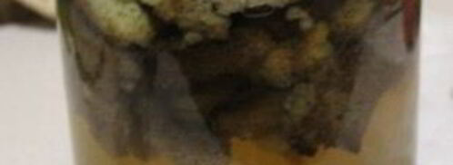 квас из ржаного хлеба. Шаг 2