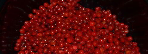 морс из калины. Шаг 2