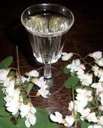 Напиток из акации на зиму