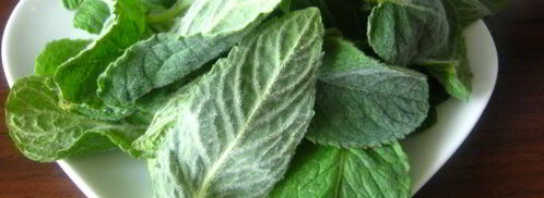 напиток освежающий. Шаг 2