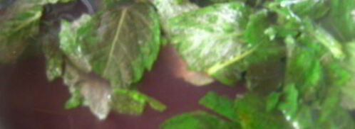 напиток освежающий. Шаг 5