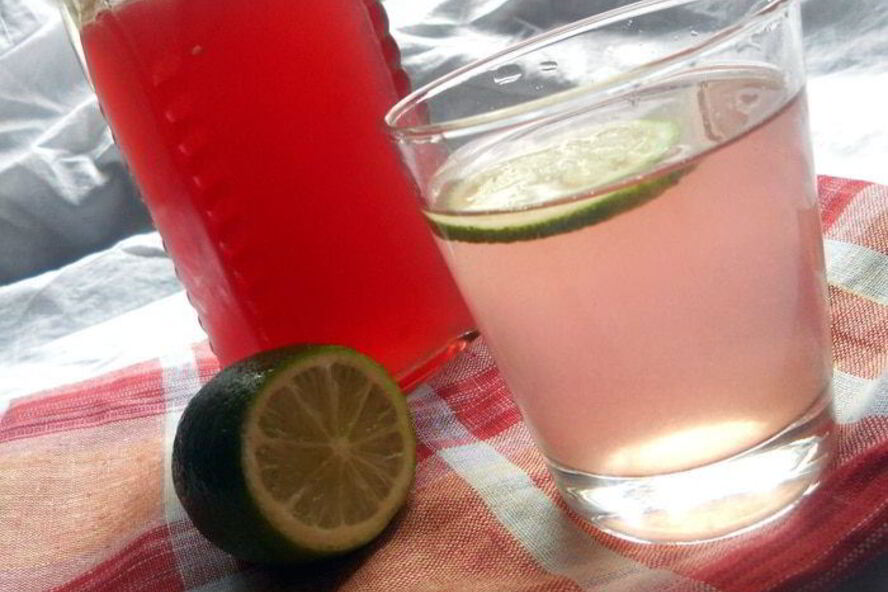 Рецепт ревеневого сиропа