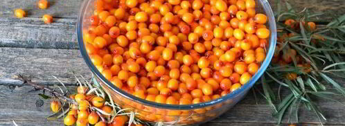 сироп из облепихи на зиму. Шаг 5