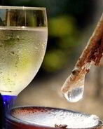 Вино из березового сока