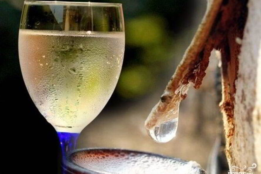 Рецепт вина из березового сока