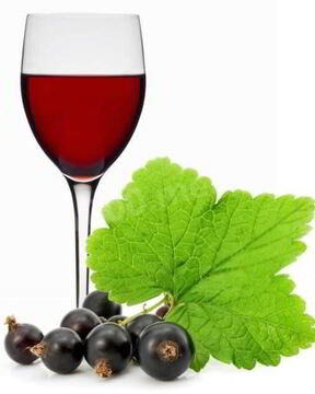 Вино из черной смородины с сахаром