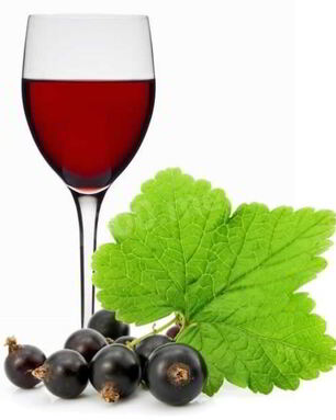 Вино из черной смородины с сахаром