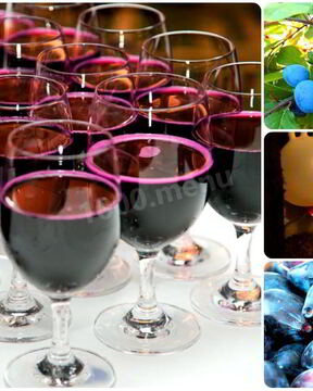 Вино из сливы с сахаром