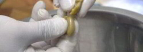 салат оливье с семгой. Шаг 6