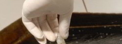 салат с креветками вкусный. Шаг 2