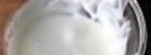 салат цезарь в минималистическом стиле. Шаг 4