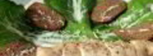 салат цезарь в минималистическом стиле. Шаг 6