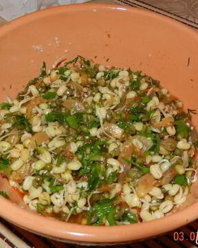 Тергум-Ча — салат из пророщенного маша