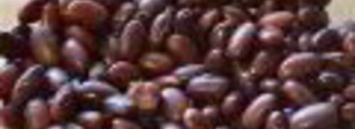 винегрет с красной фасолью и сельдью. Шаг 2