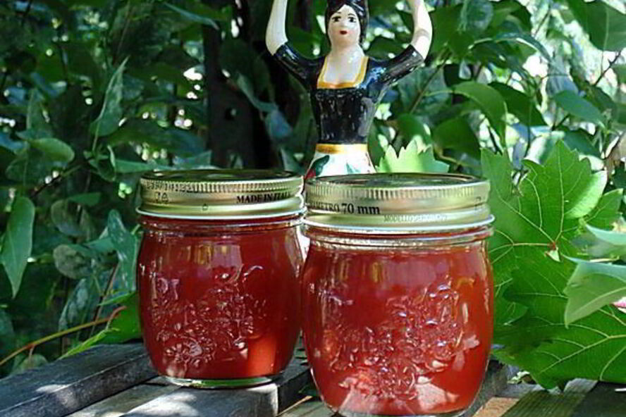 Рецепт итальянского томатного соуса пассата