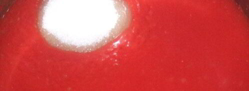 кетчуп домашний. Шаг 2