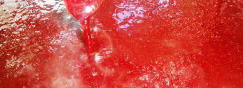 соус из красной смородины восточные мотивы. Шаг 9