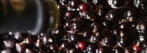 соус к мясу из черной смородины. Шаг 2