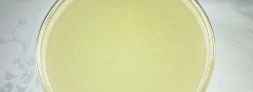 красный борщ из индейки. Шаг 2