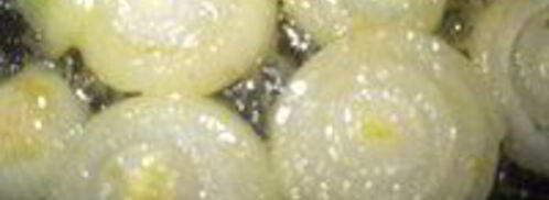 кремовый суп из тыквы на курином бульоне. Шаг 3