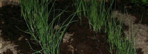 окрошка с мясом. Шаг 7