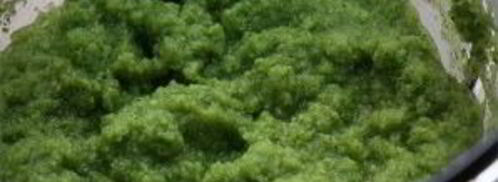 суп овощной с брокколи. Шаг 9