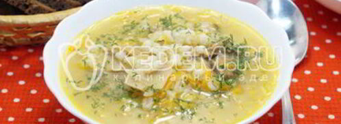 щи грибные с перловкой. Шаг 9