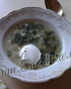 Щи из крапивы