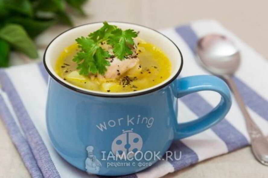 Рецепт щей из квашеной капусты с курицей