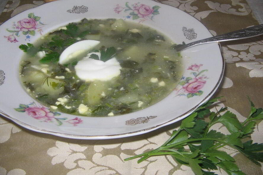 Рецепт щей из щавеля